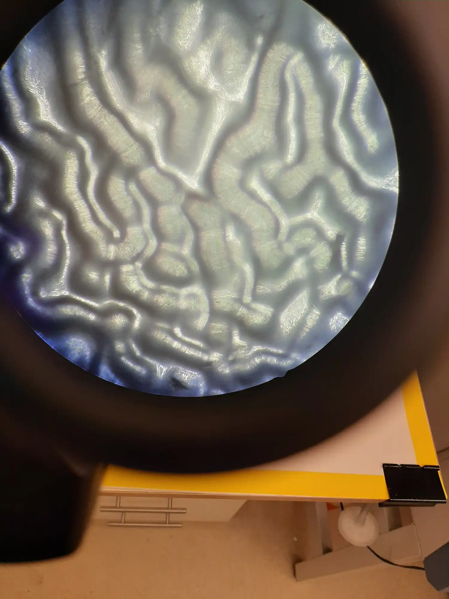 Image from Gel'O'Vera album