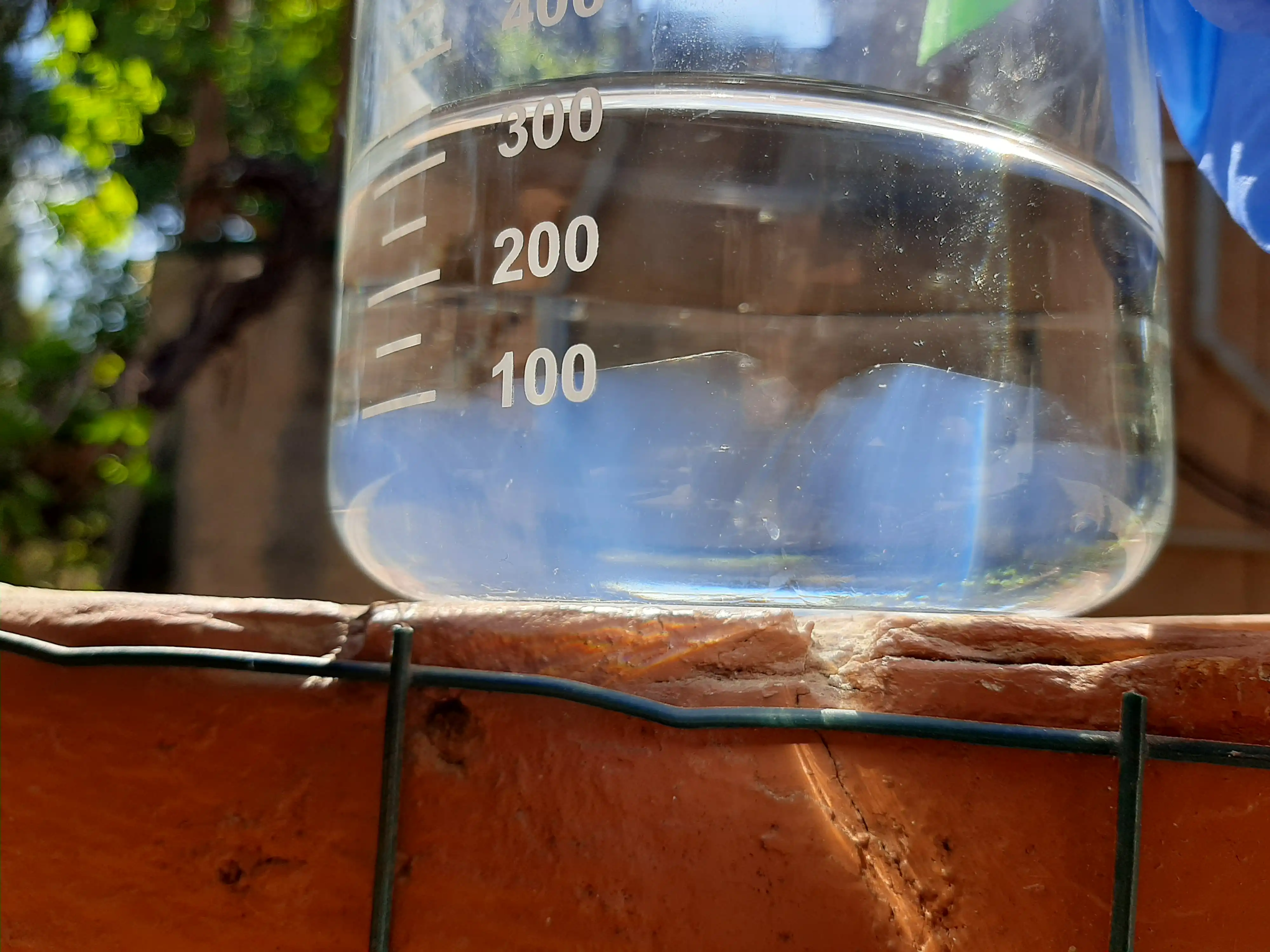 Image from Gel'O'Vera album