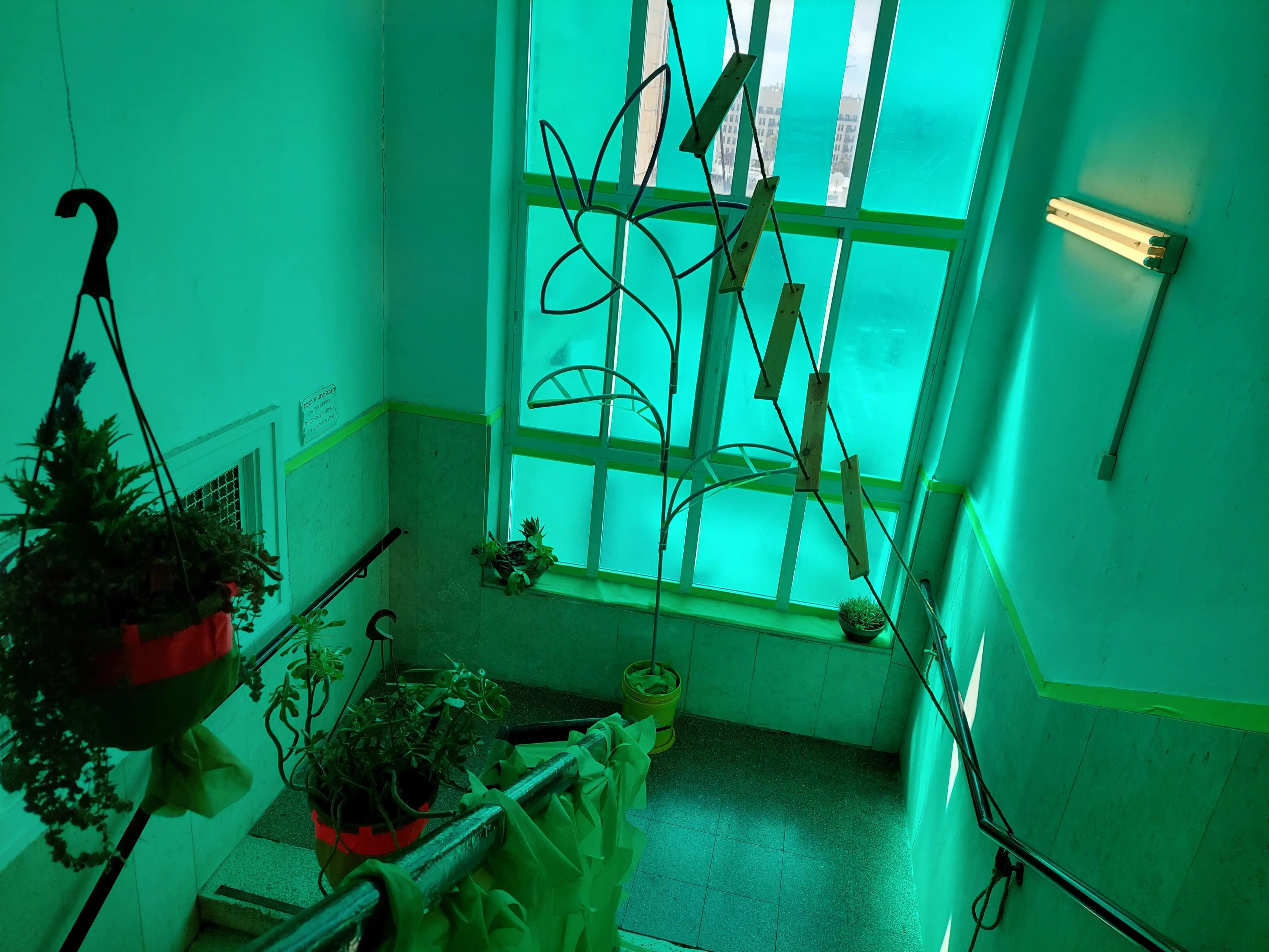 Image from The Emerald City Hall album