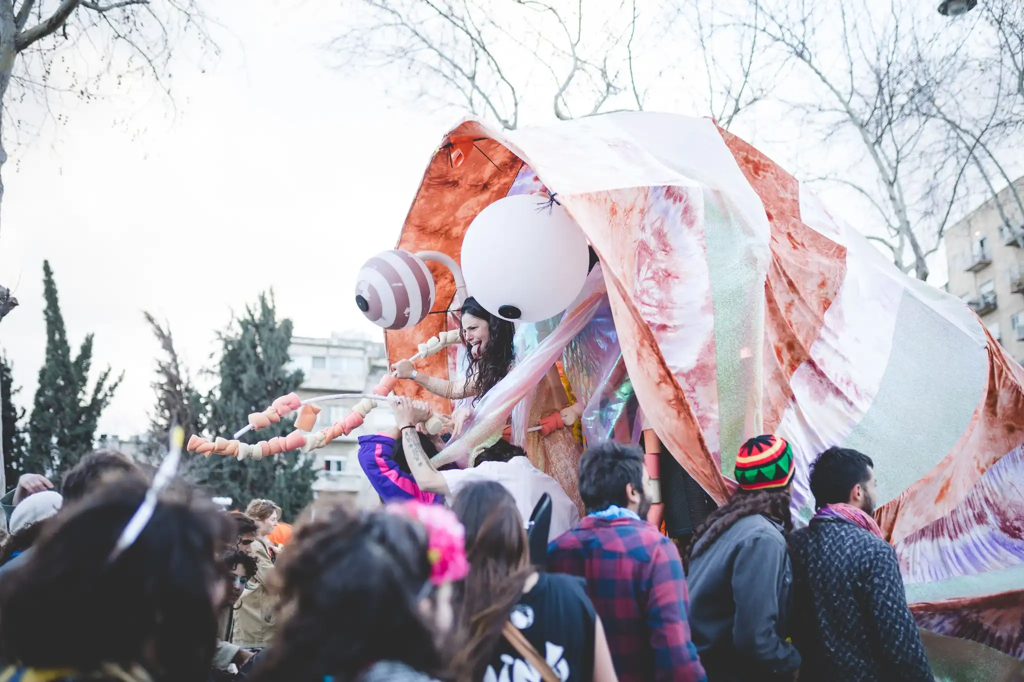 Image from Shrimpsea album