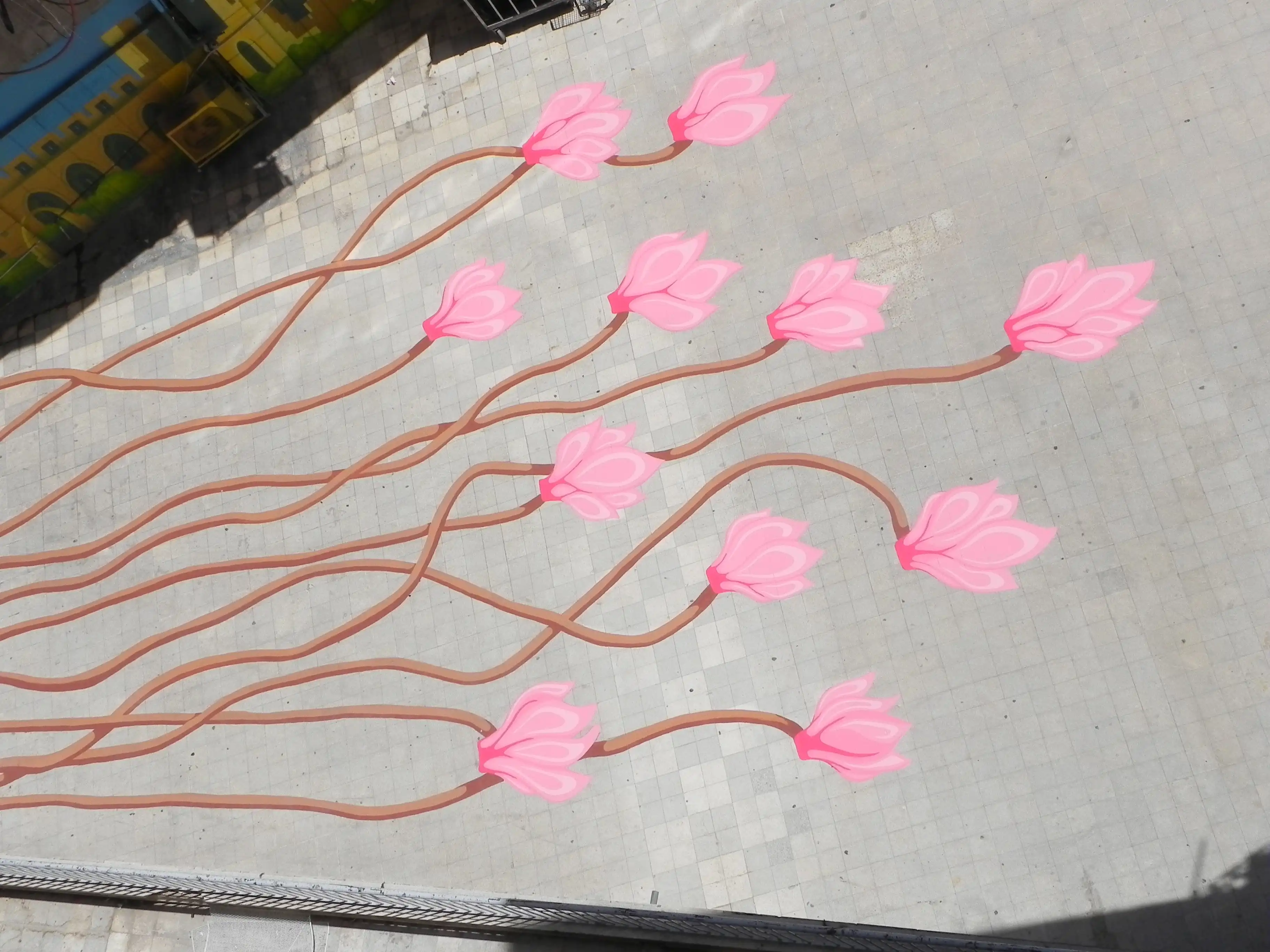 Image from Cyclamens Dance album