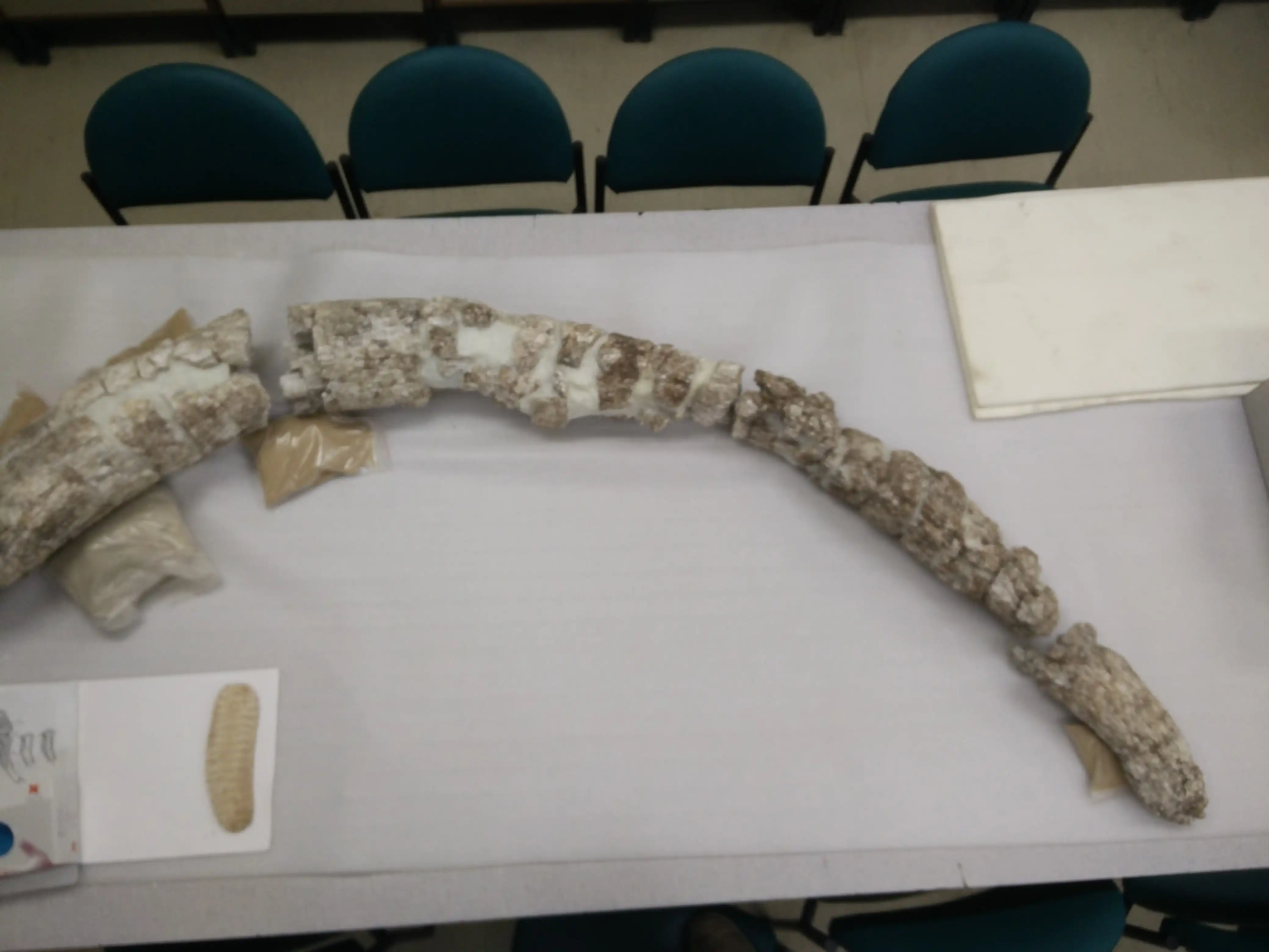 Image from Preservation album