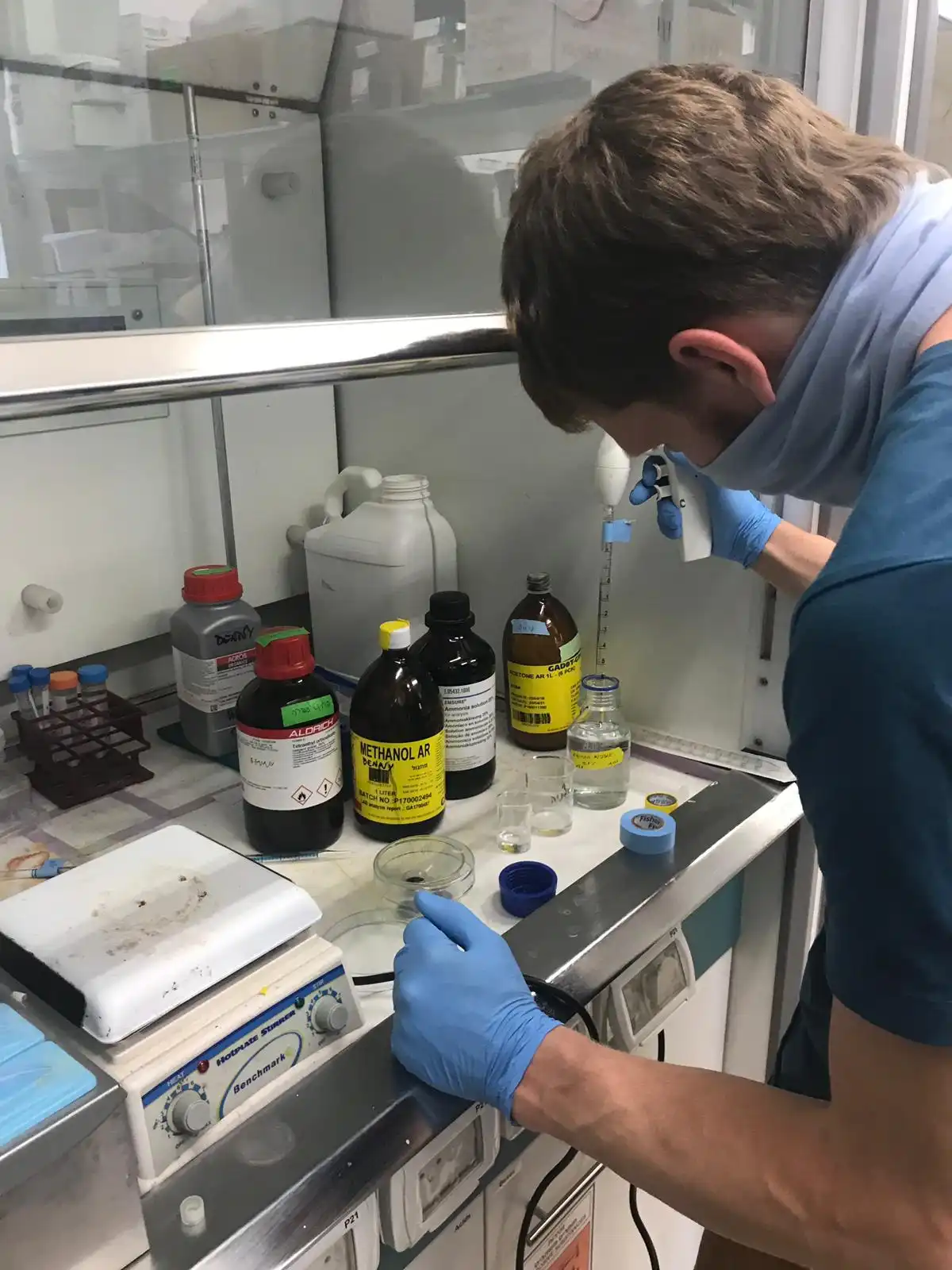 Image from Gel'O'Vera album