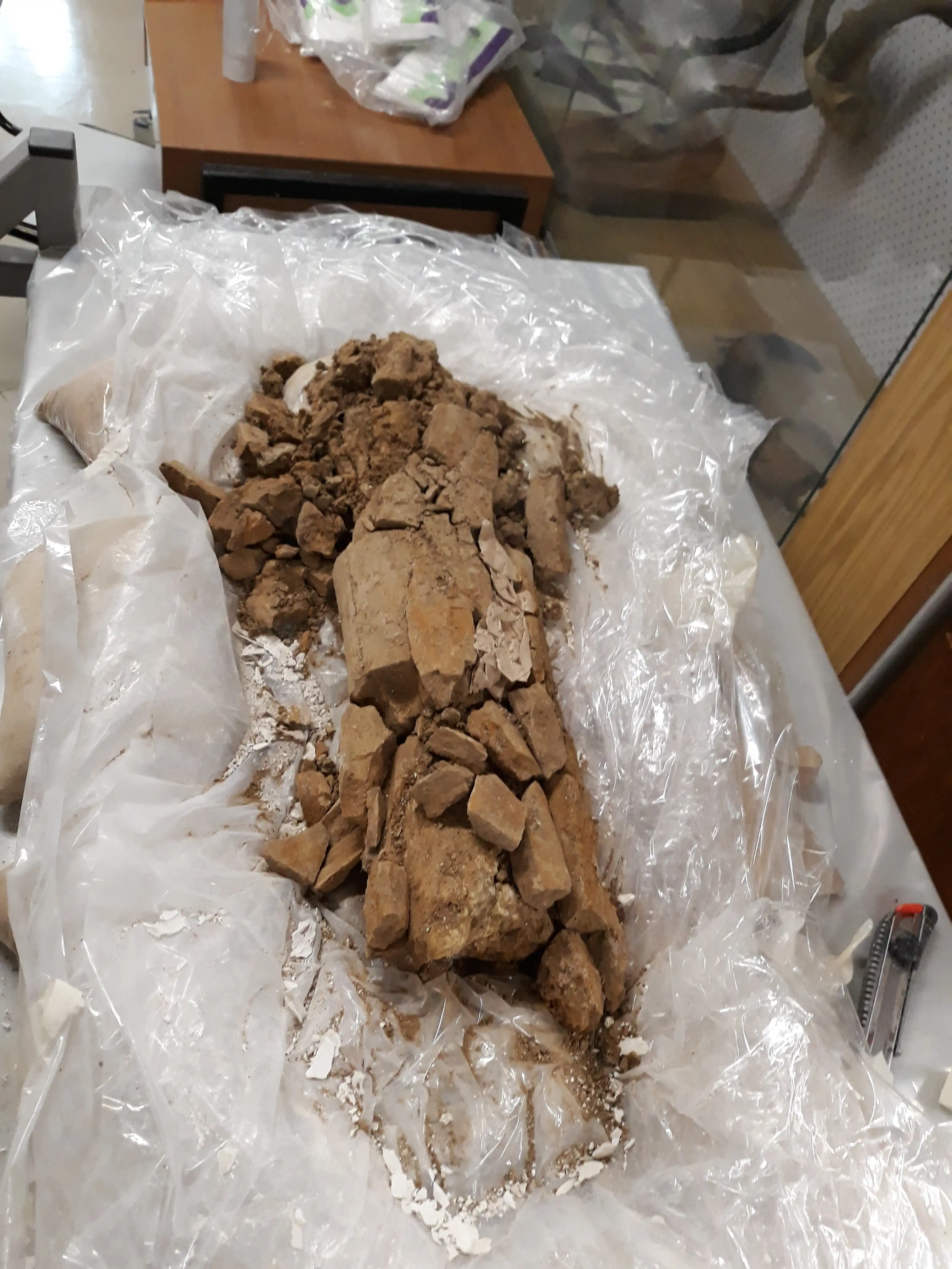 Image from Preservation album