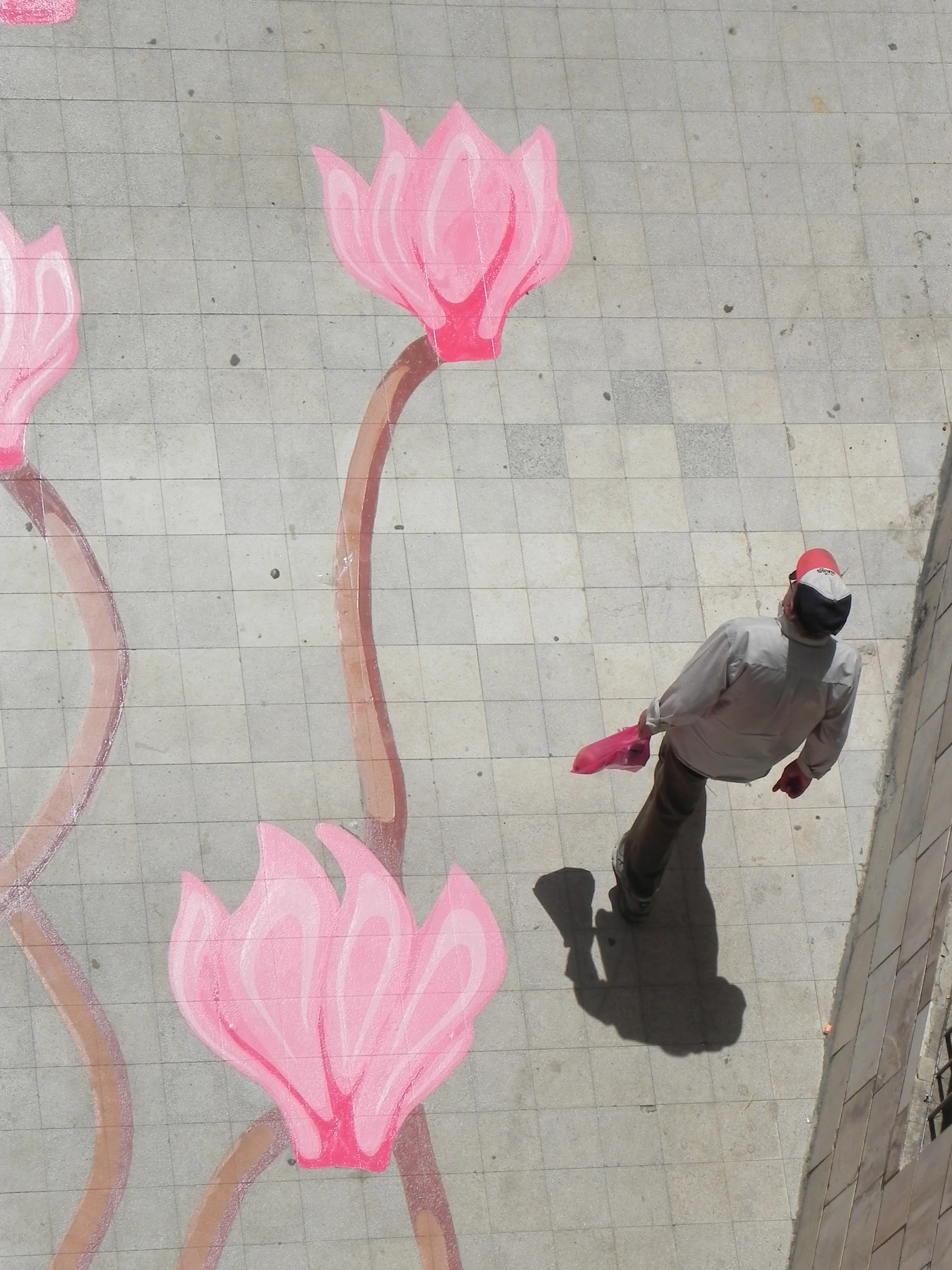 Main view from Cyclamens Dance album