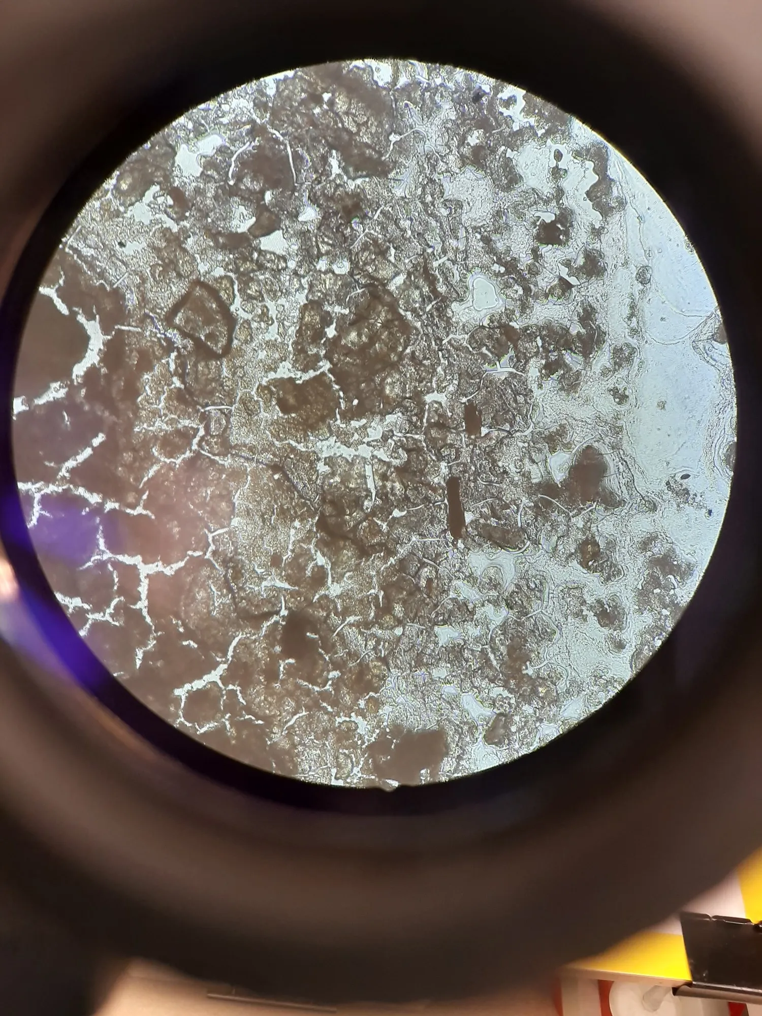 Main view from Gel'O'Vera album