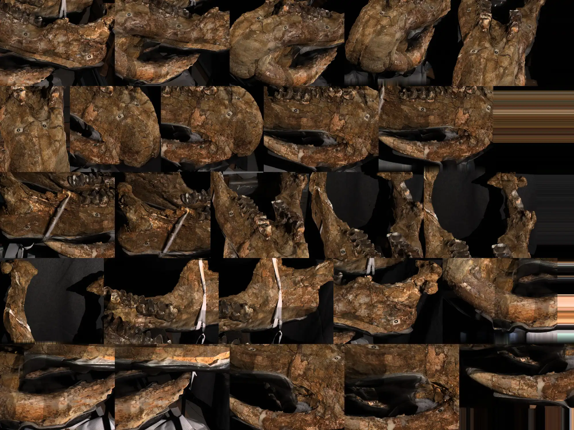 Image from Preservation album